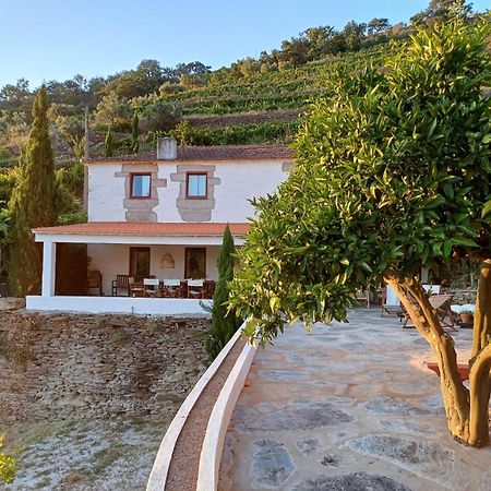 Country House Quinta Da Salgueira Alijó Eksteriør bilde