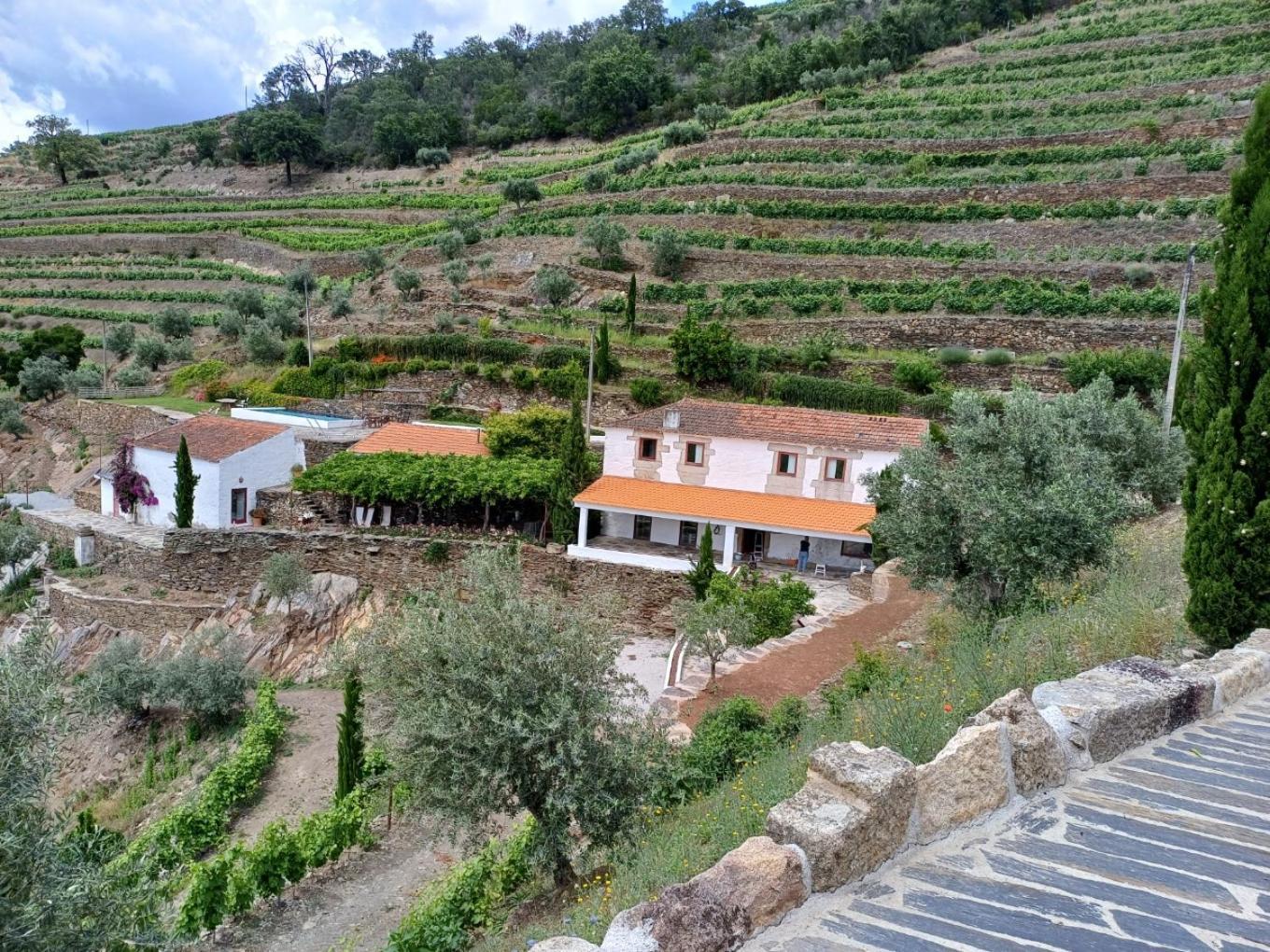 Country House Quinta Da Salgueira Alijó Eksteriør bilde
